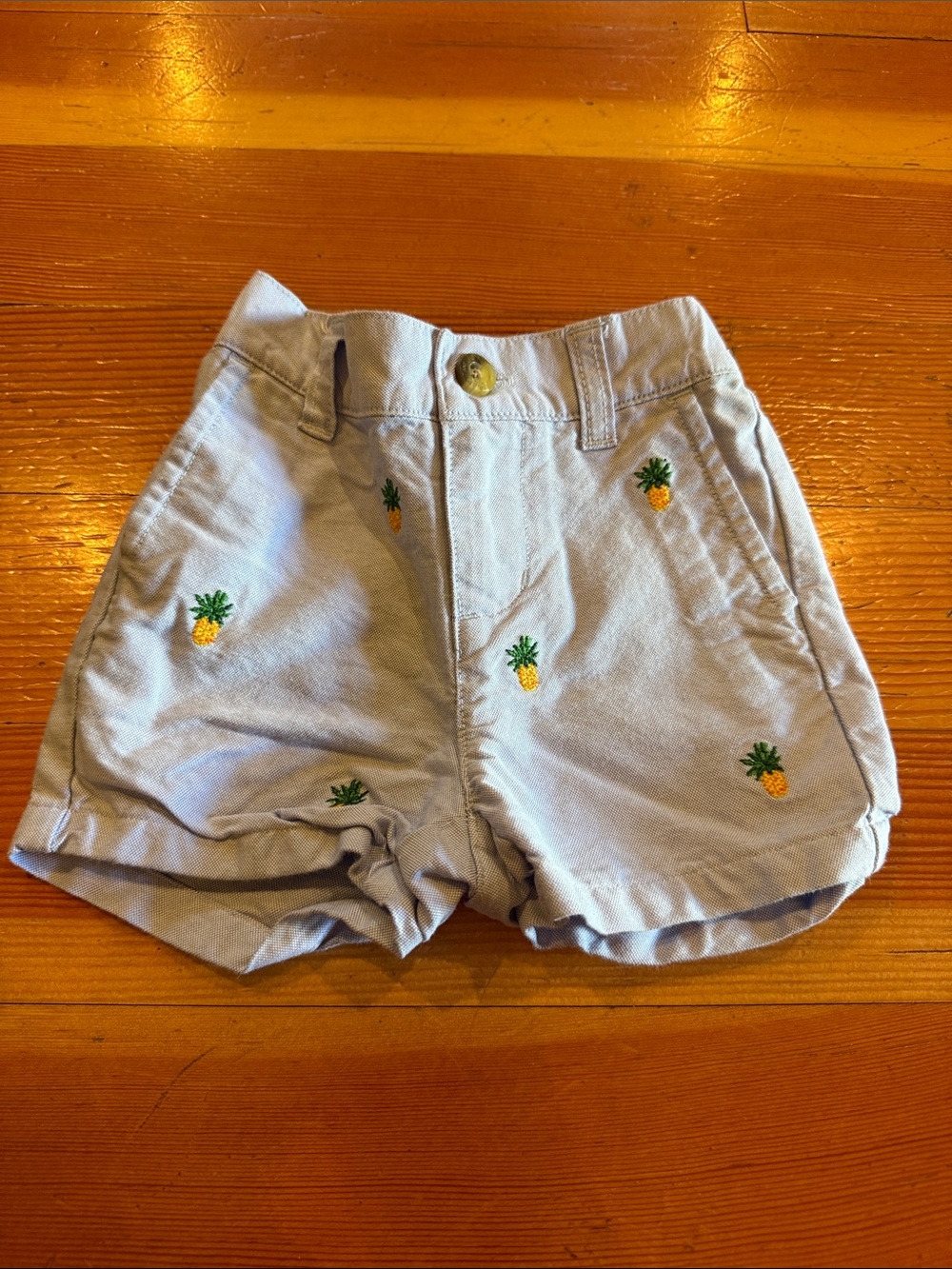 Janie and Jack Light Blue Pineapple Embroidered Shorts